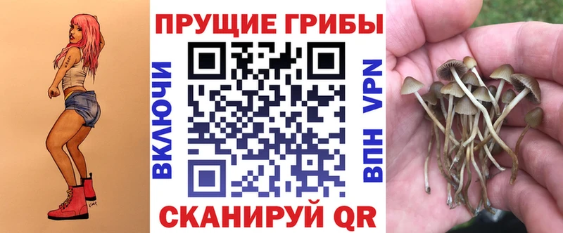 Галлюциногенные грибы Cubensis Краснозаводск