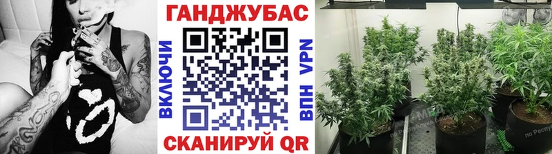 МАРИХУАНА сатива  закладки  Краснозаводск 